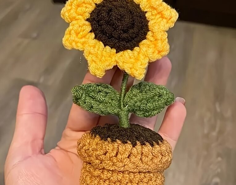Flor de Crochê em Vaso Tricotada à Mão
