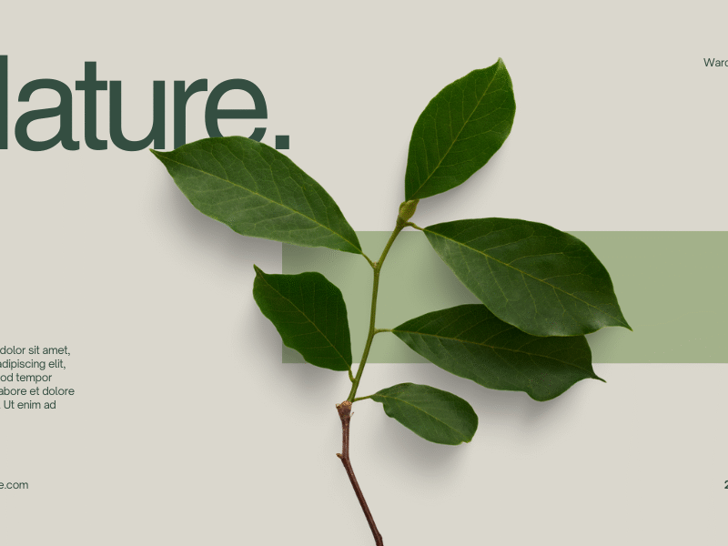 Wepink Fashion Day Womem Care Green