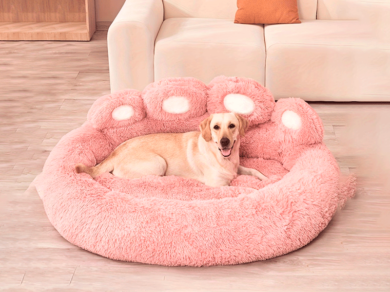 O Refúgio de Pelúcia para Cães de Todos os Tamanhos - Aluguel