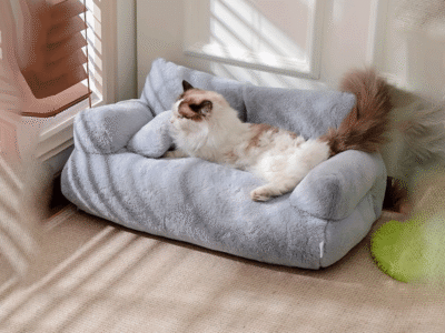 Aluguel - Sofisticação e Aconchego para seu Pet