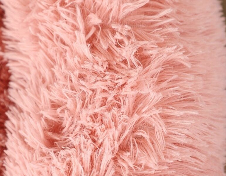 O Refúgio de Pelúcia para Cães de Todos os Tamanhos - Aluguel