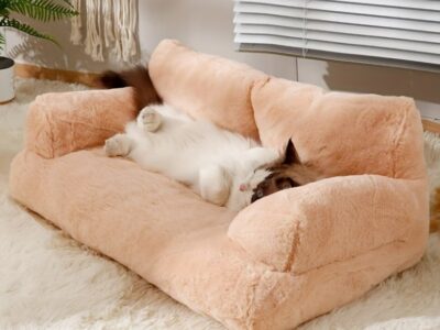 Aluguel - Sofisticação e Aconchego para seu Pet