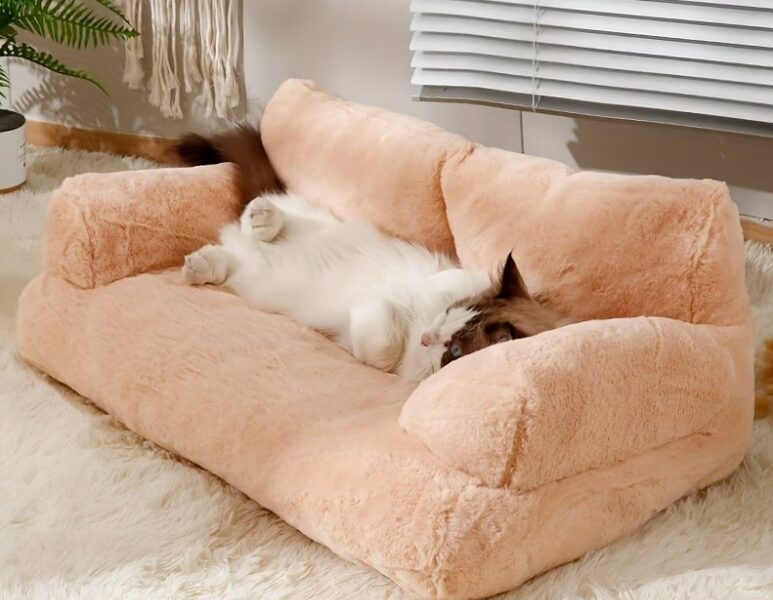 Aluguel - Sofisticação e Aconchego para seu Pet