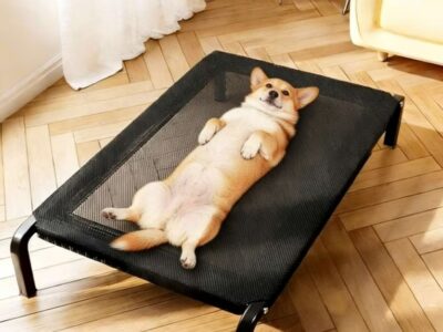 Aluguel Cama Suspensa Pet com Design Moderno