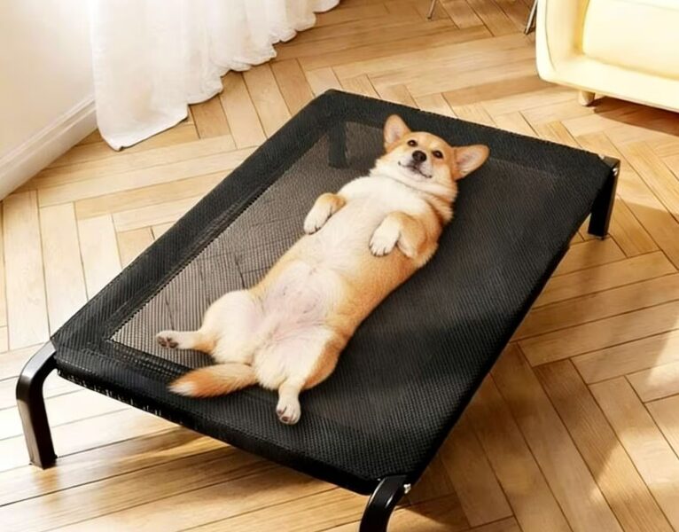 Aluguel Cama Suspensa Pet com Design Moderno