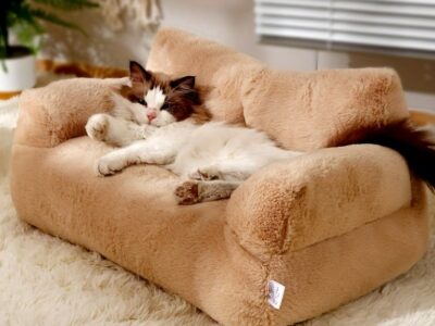 Aluguel - Sofisticação e Aconchego para seu Pet