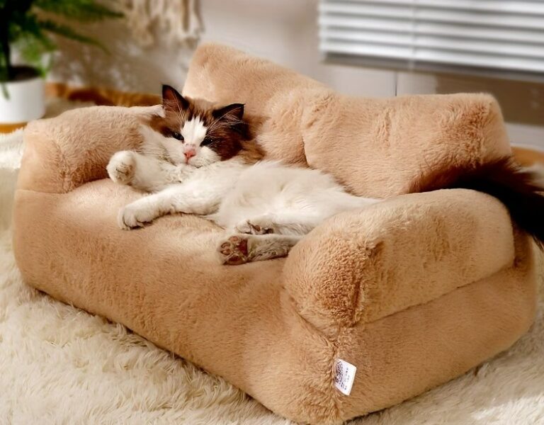 Aluguel - Sofisticação e Aconchego para seu Pet