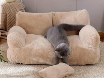 Aluguel - Sofisticação e Aconchego para seu Pet